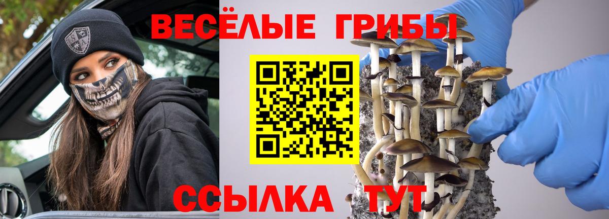 Галлюциногенные грибы Cubensis  Псилоцибиновые грибы мицелий  Сегежа  Вход с VPN 
