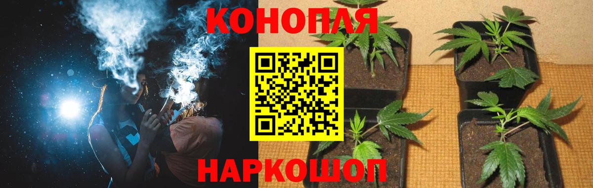 Бошки Шишки White Widow Сегежа